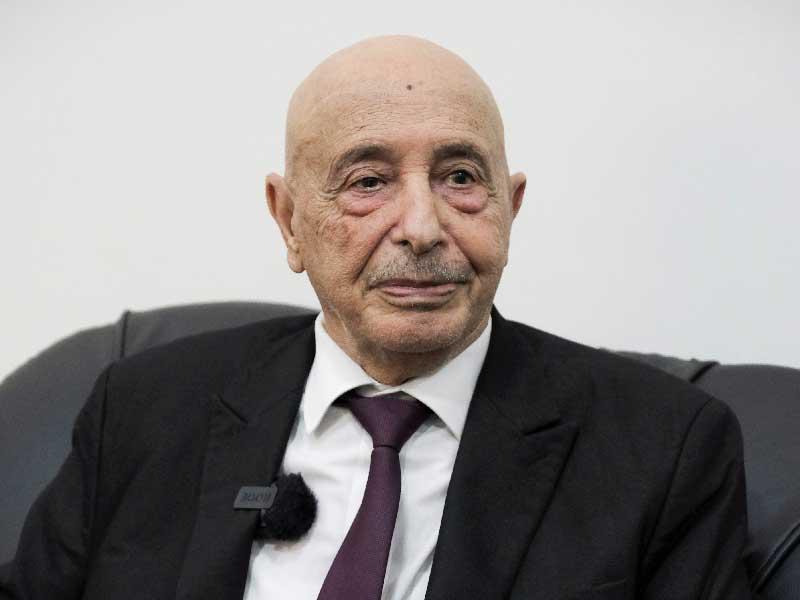 رئيس مجلس النواب الليبي، عقيلة صالح