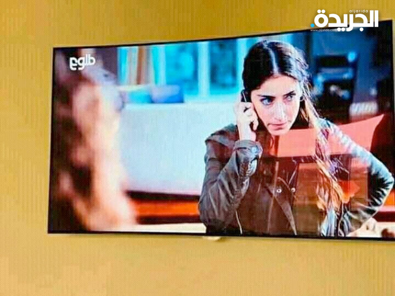 ممثلة في مسلسل كان يعرض على قناة «طلوع» الأفغانية