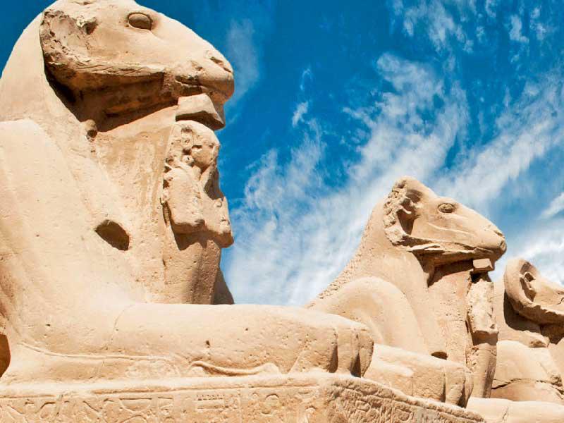 تماثيل الكباش في الطريق الأثري