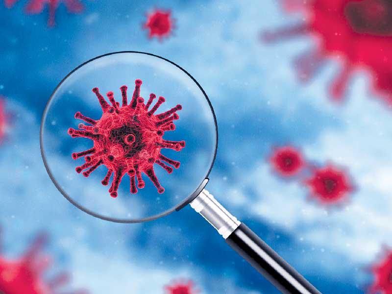 فيروس كورونا