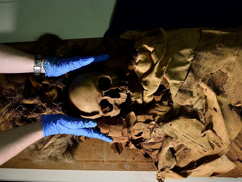 مومياء عمرها 800 سنة في البيرو