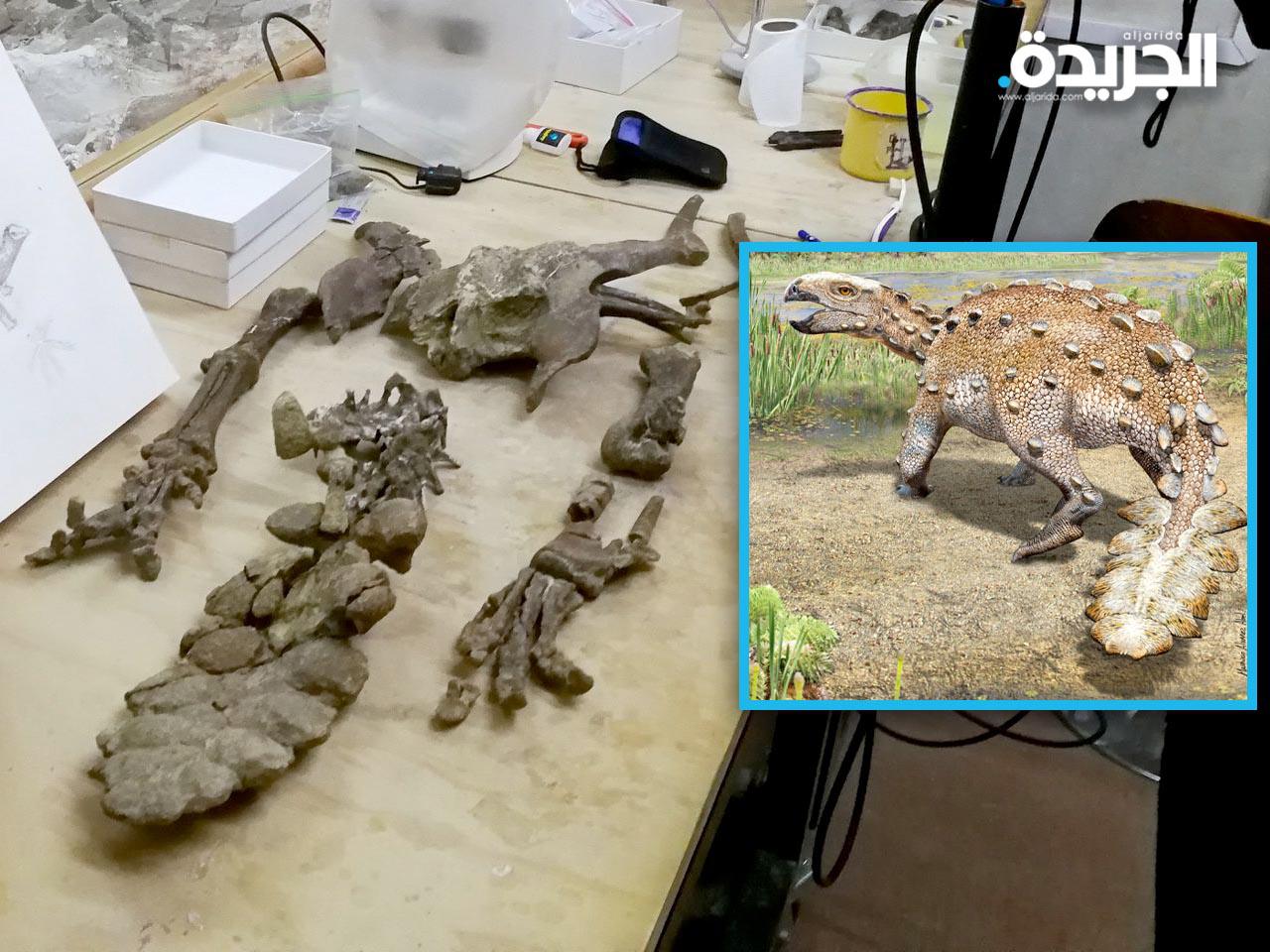 علماء تشيليون يكشفون عن ديناصور جديد بذيل غير مسبوق