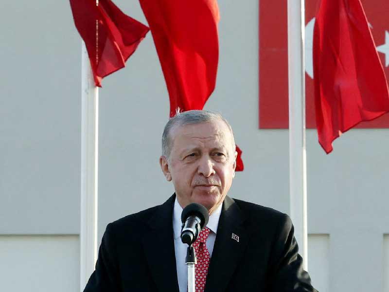 الرئيس التركي رجب طيب إردوغان