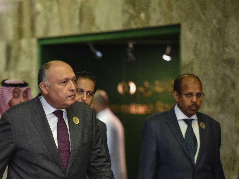 وزير الخارجية المصري سامح شكري يصل إلى السعودية لتدشين آلية تشاور سياسي مع دول الخليج