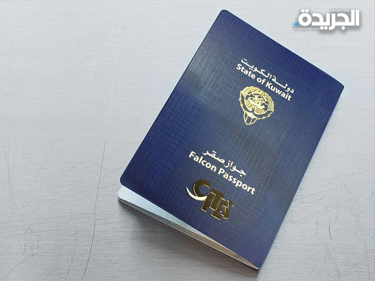 «البيئة» تطلق برنامج طلب جوازات سفر للصقور