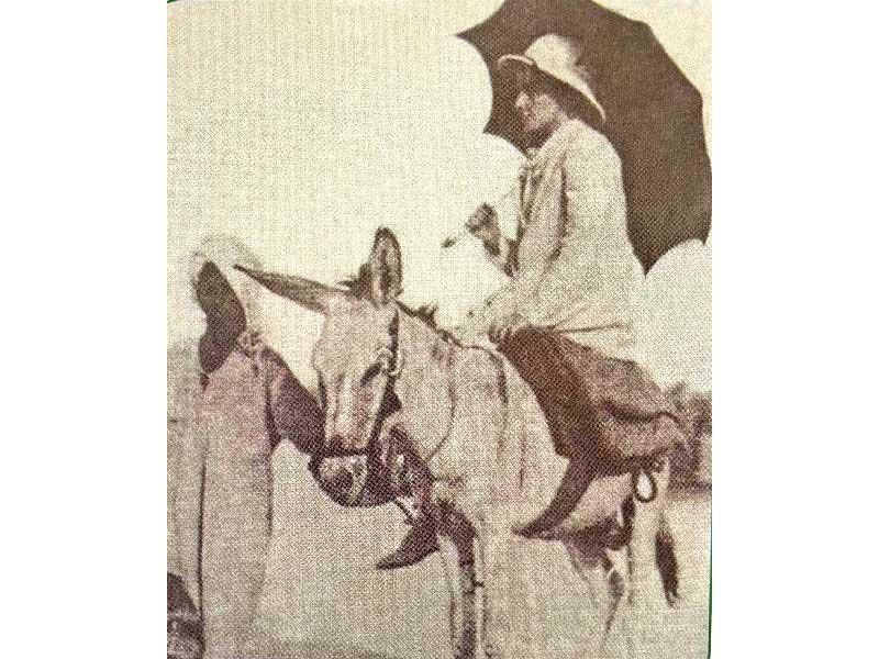 الطبيبة كالفري تركب حماراً