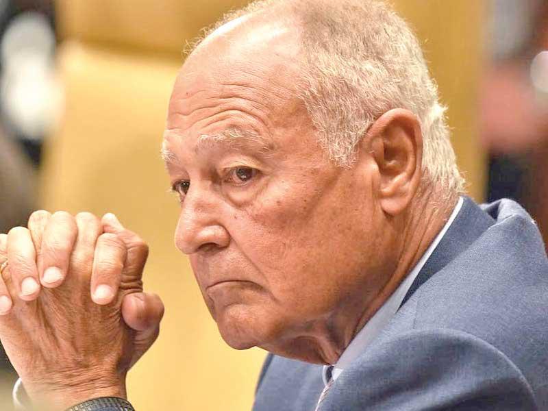  الأمين العام أحمد أبوالغيط