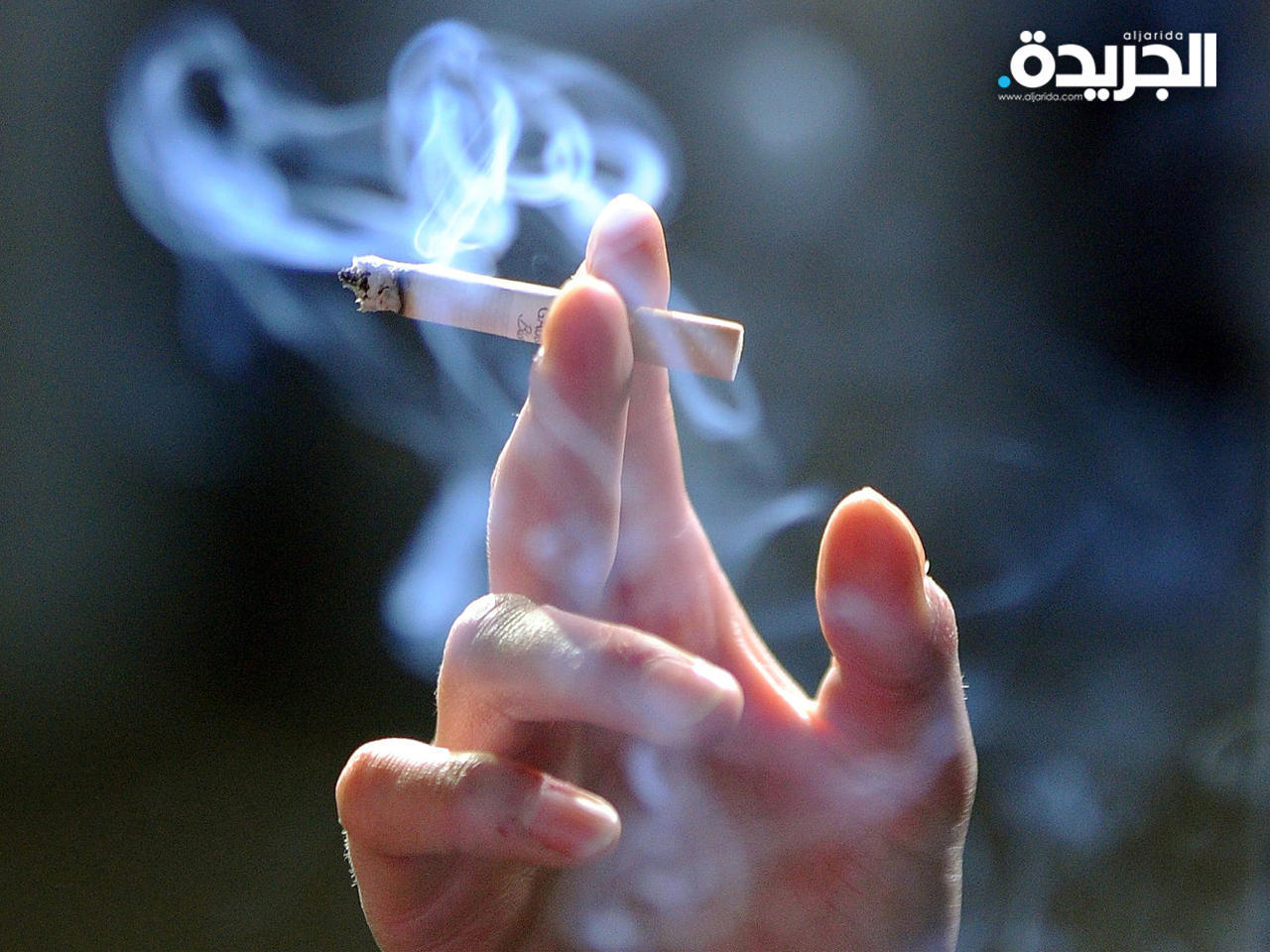 أعداد المدخنين ترتفع في ألمانيا