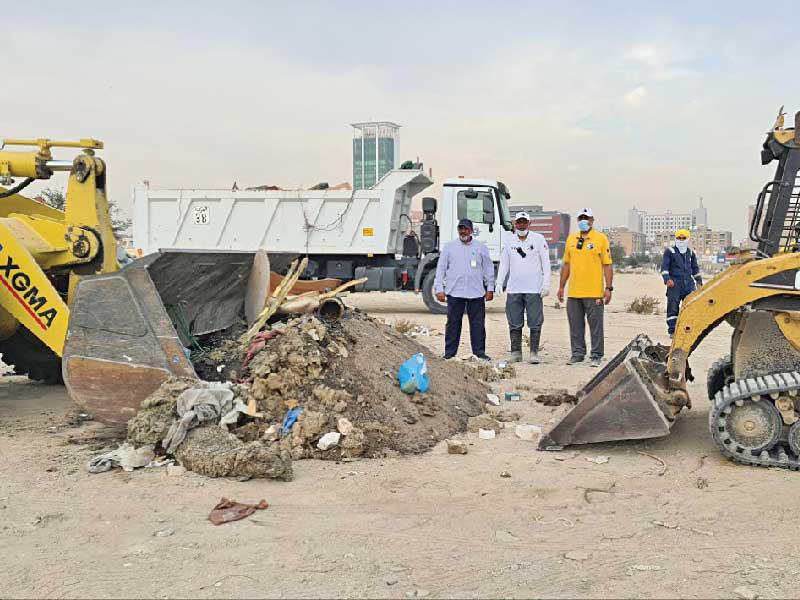 جانب من رفع المخلفات من ساحل الفحيحيل