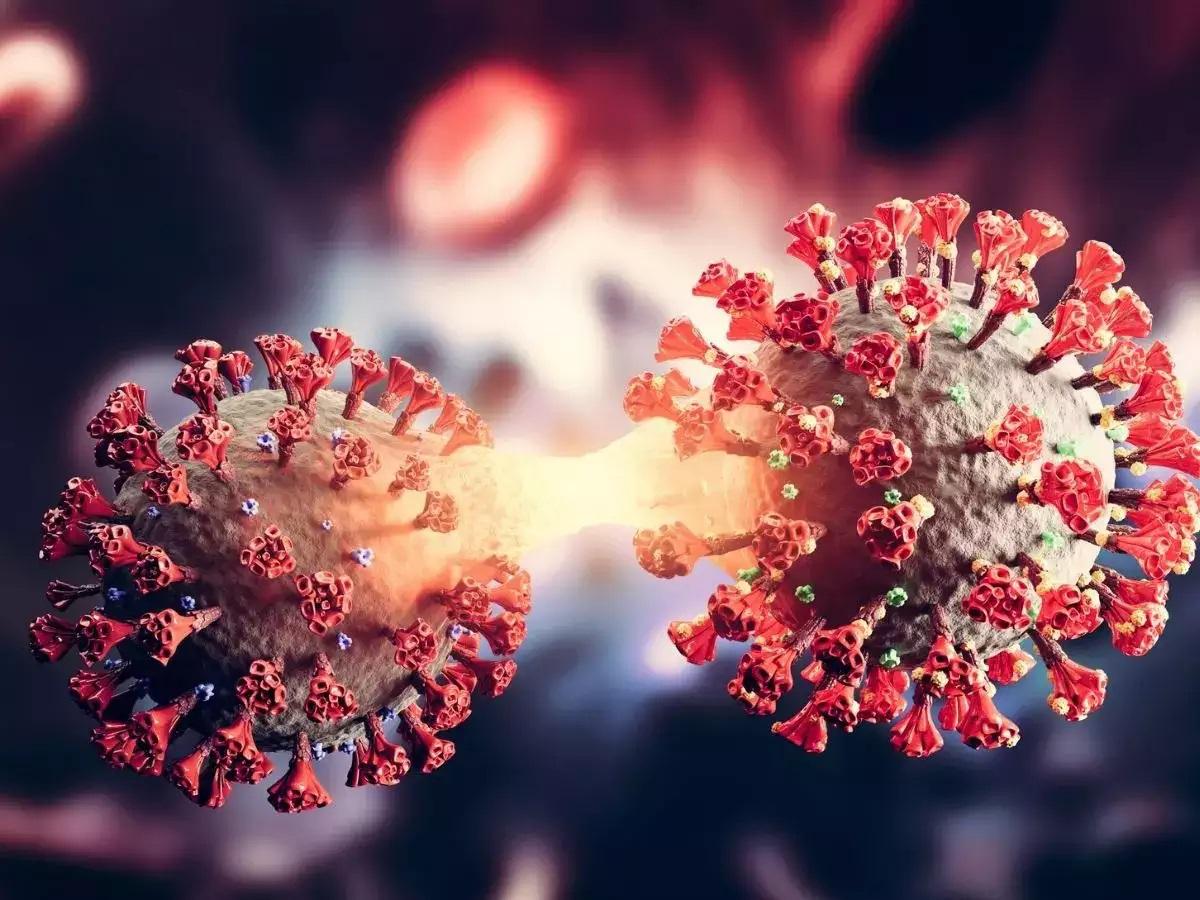 فيروس كورونا