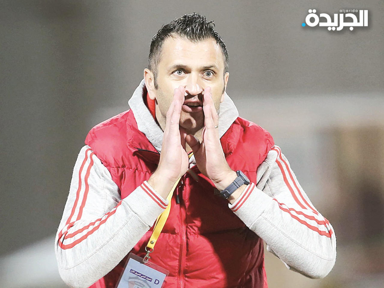 داليبور ستارتشيفيتش