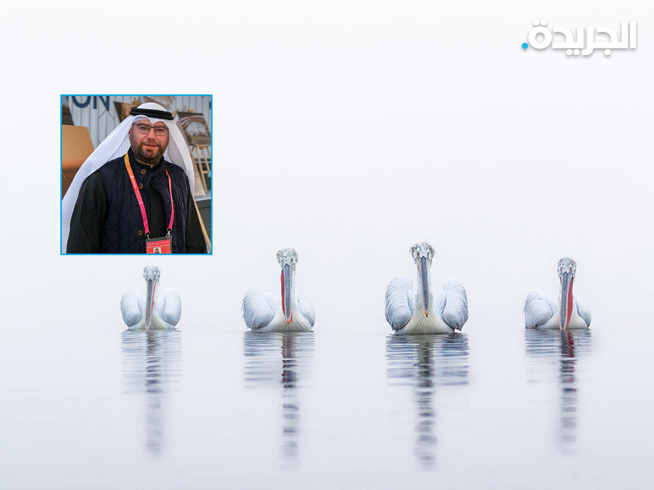 مشاهد فوتوغرافية للحياة البرية بجناح الكويت في إكسبو دبي