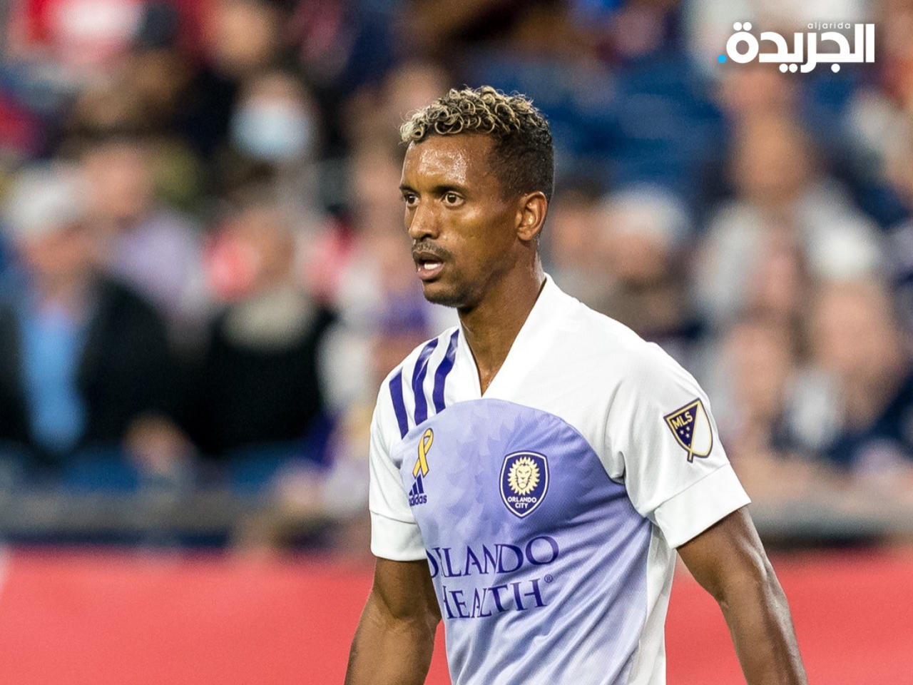 البرتغالي ناني