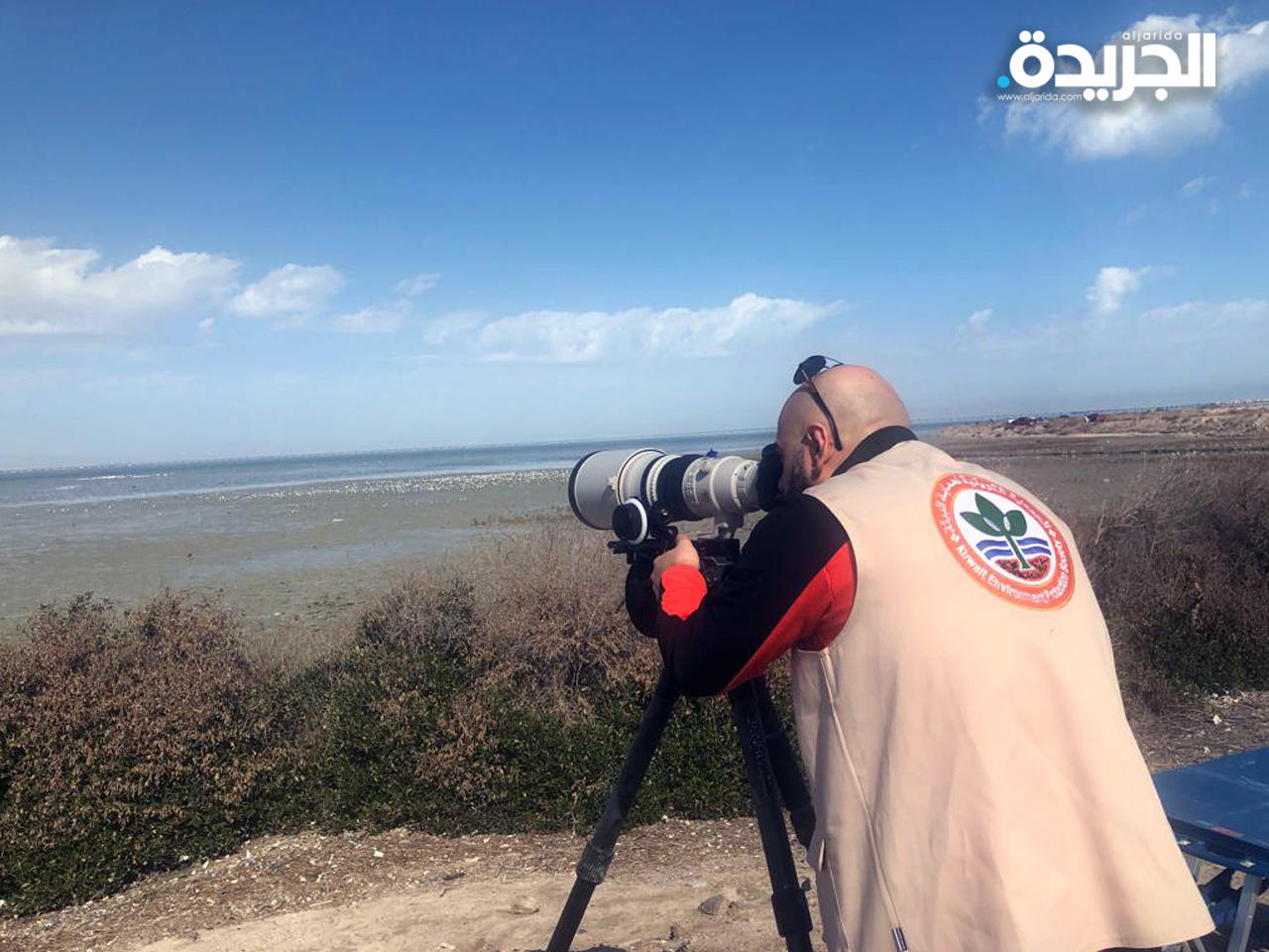 رصد وعد الطيور على امتداد ساحل الصليبخات