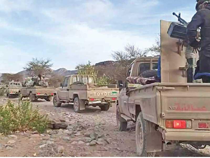 ألوية العمالقة