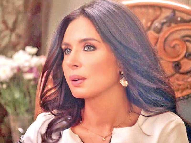 الفنانة دينا 