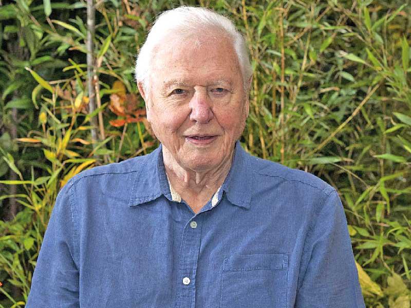 المذيع التلفزيوني البريطاني ديفيد اتينبارا 