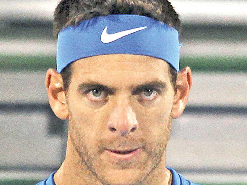 الأرجنتيني خوان مارتن دل بوترو 