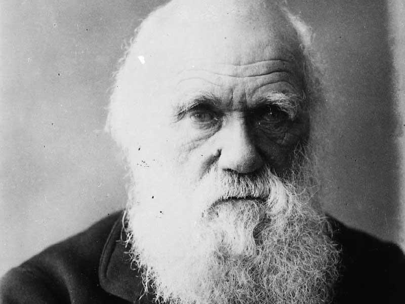 العالم البريطاني الراحل تشارلز داروين 