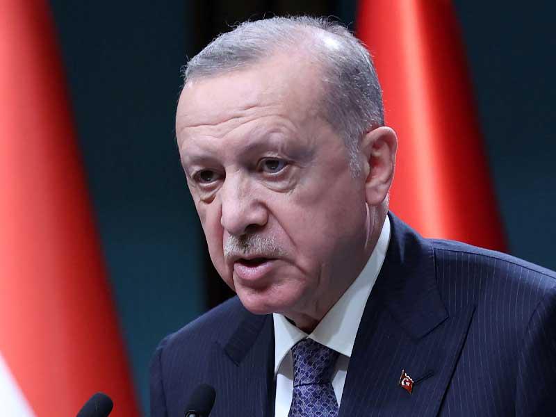 الرئيس التركي رجب طيب إردوغان