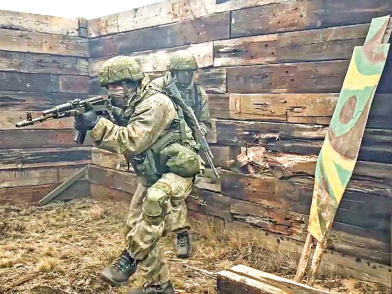 عناصر فريق النمر