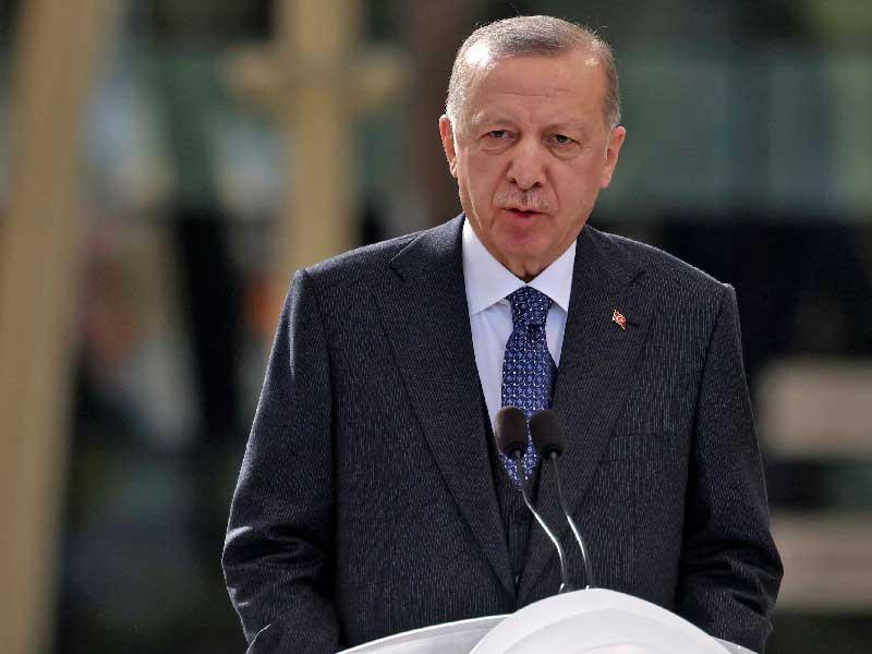 الرئيس التركي رجب طيب إردوغان