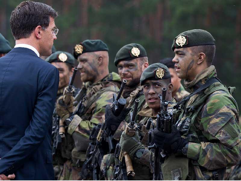 الجيش الهولندي