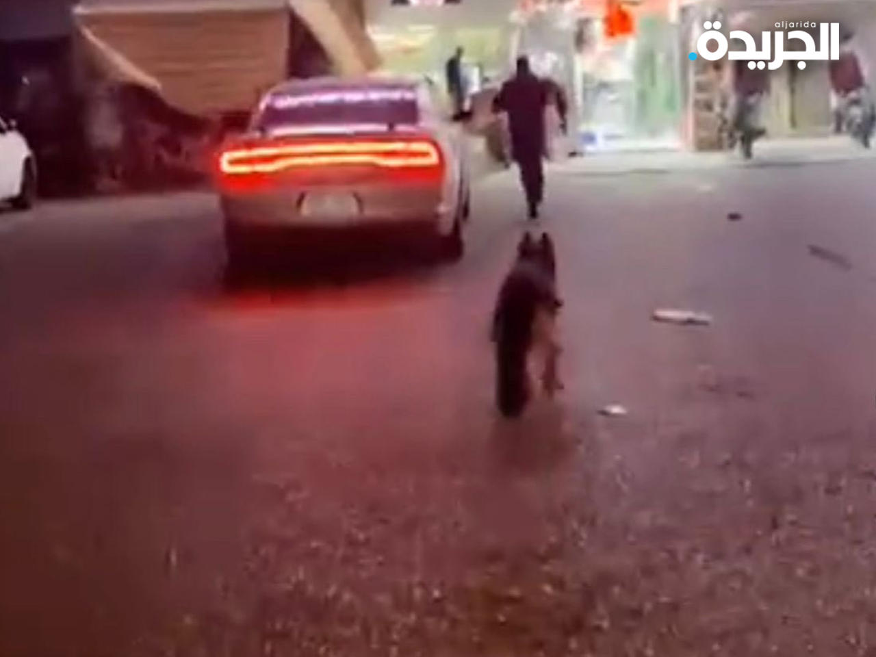 صورة من المقطع المتداول