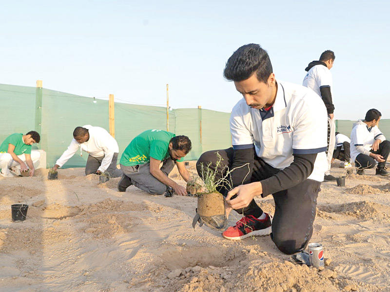 غرس النباتات خلال فترة التخييم