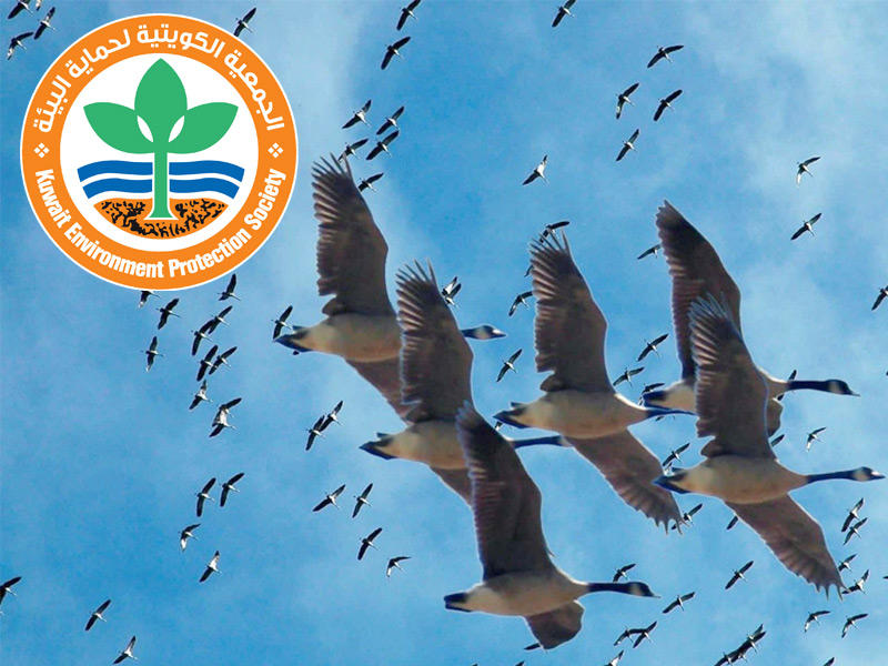  الجمعية الكويتية لحماية البيئة