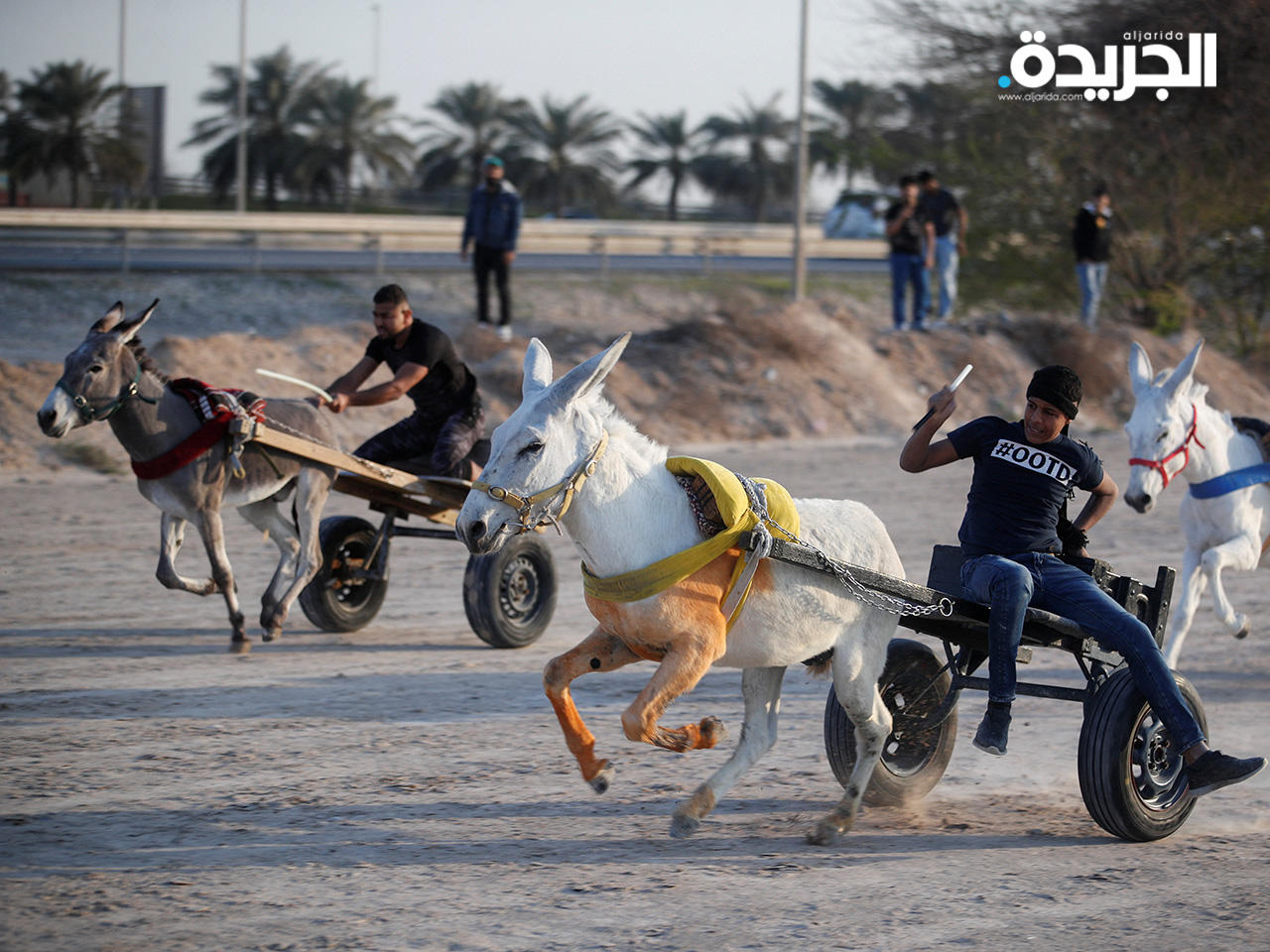 سباق الحمير في مدينة سار بالبحرين