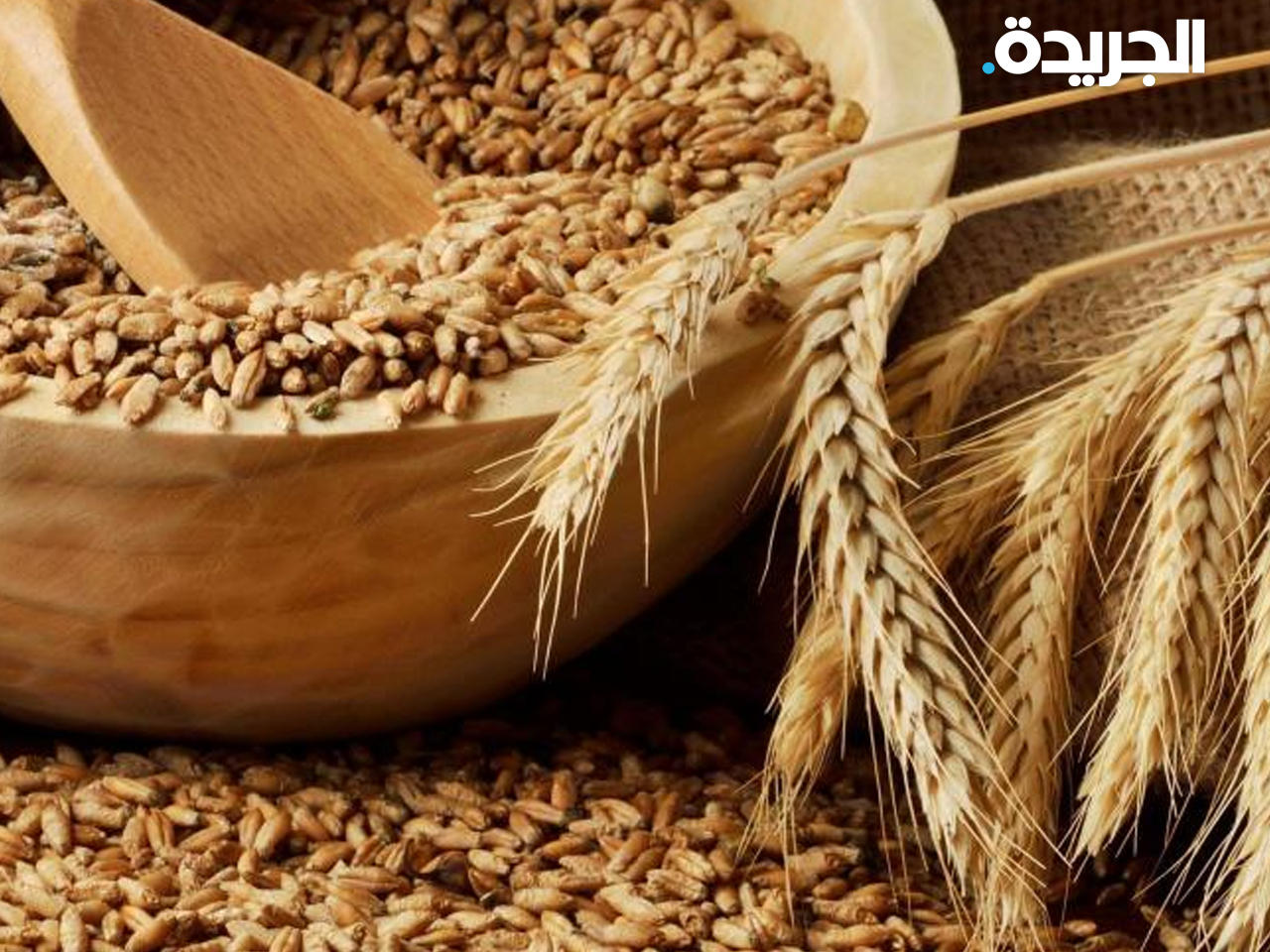 مصر وتونس تستوردان القمح من روسيا وأوكرانيا