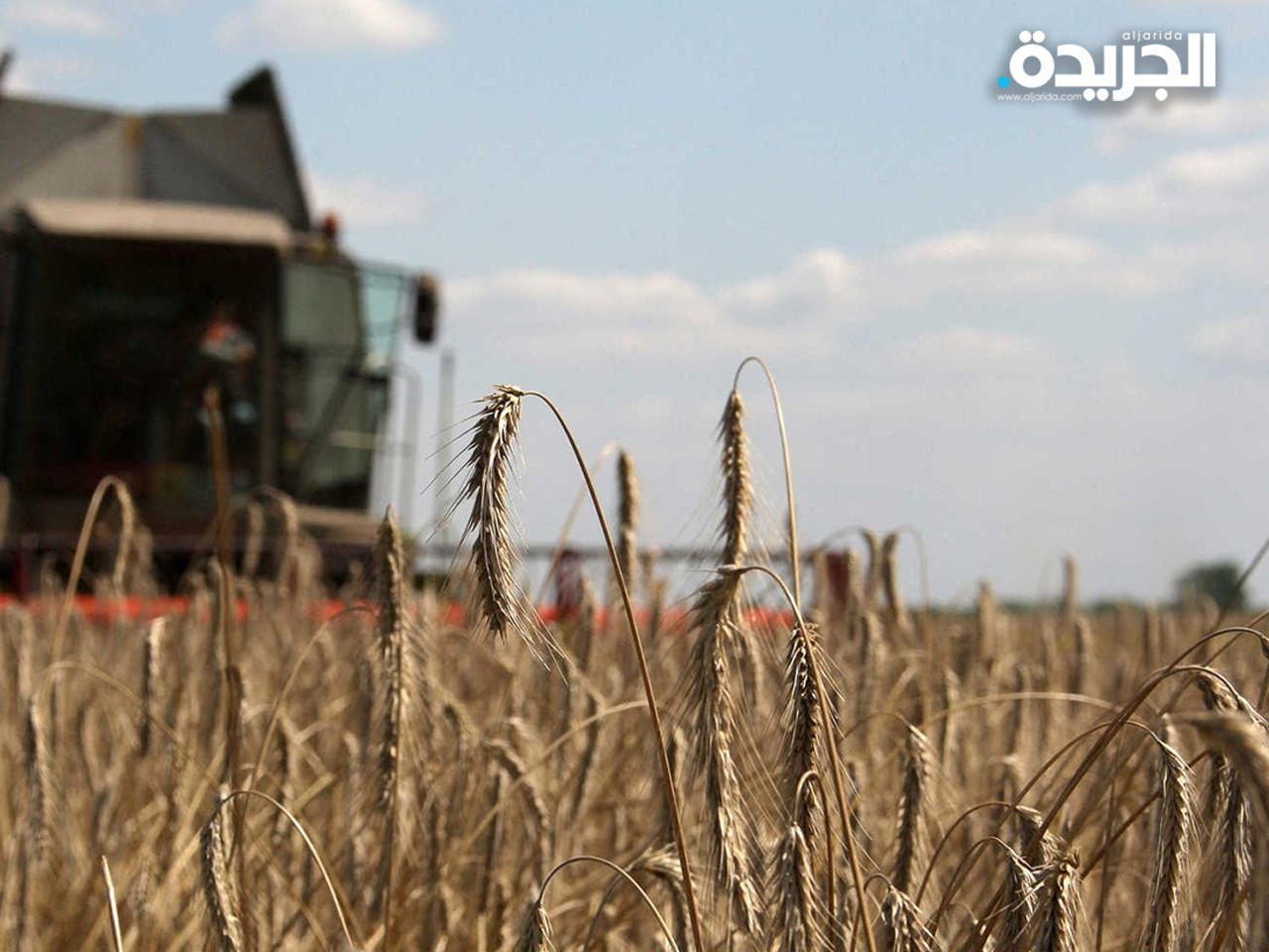 أوكرانيا تحظر تصدير الحبوب والسكر والملح واللحوم