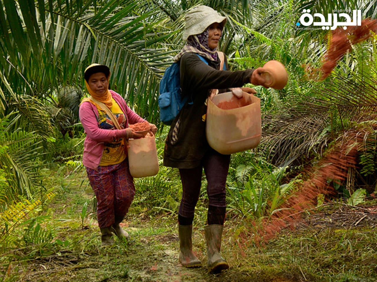 إندونيسيا تُقيد صادراتها من «زيت النخيل»