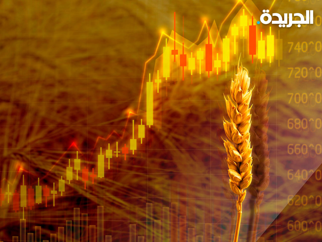 أزمة غذاء تتنامى مع ارتفاع الأسعار 