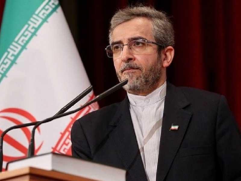 كبير المفاوضين باقري كني