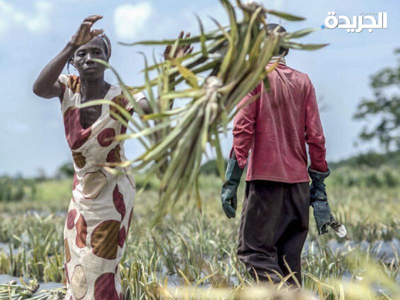 الحرب الأوكرانية قد ترفع أسعار الغذاء 20%