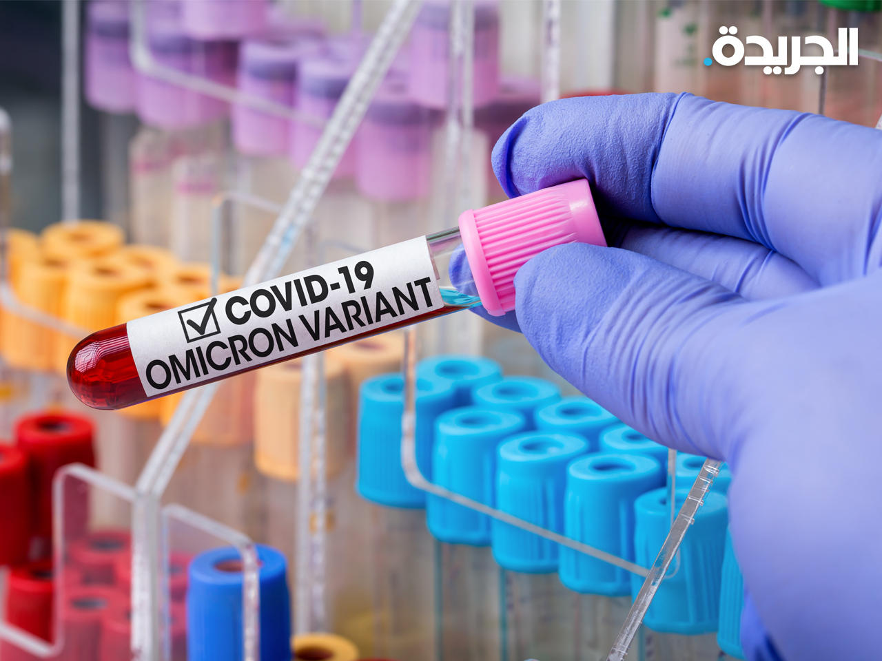 256 إصابة جديدة بفيروس كورونا