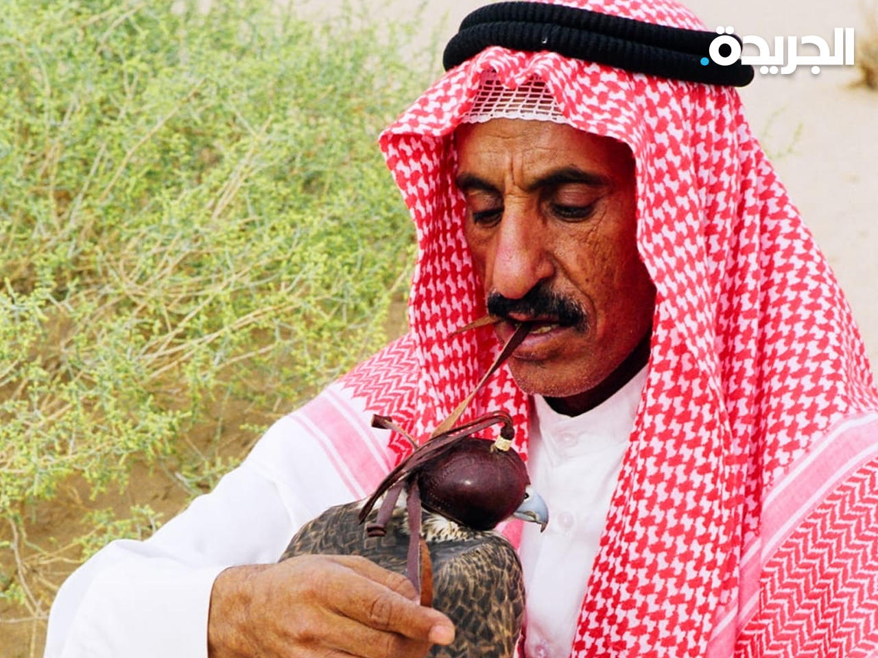 من المشاركات الكويتية في المعرض