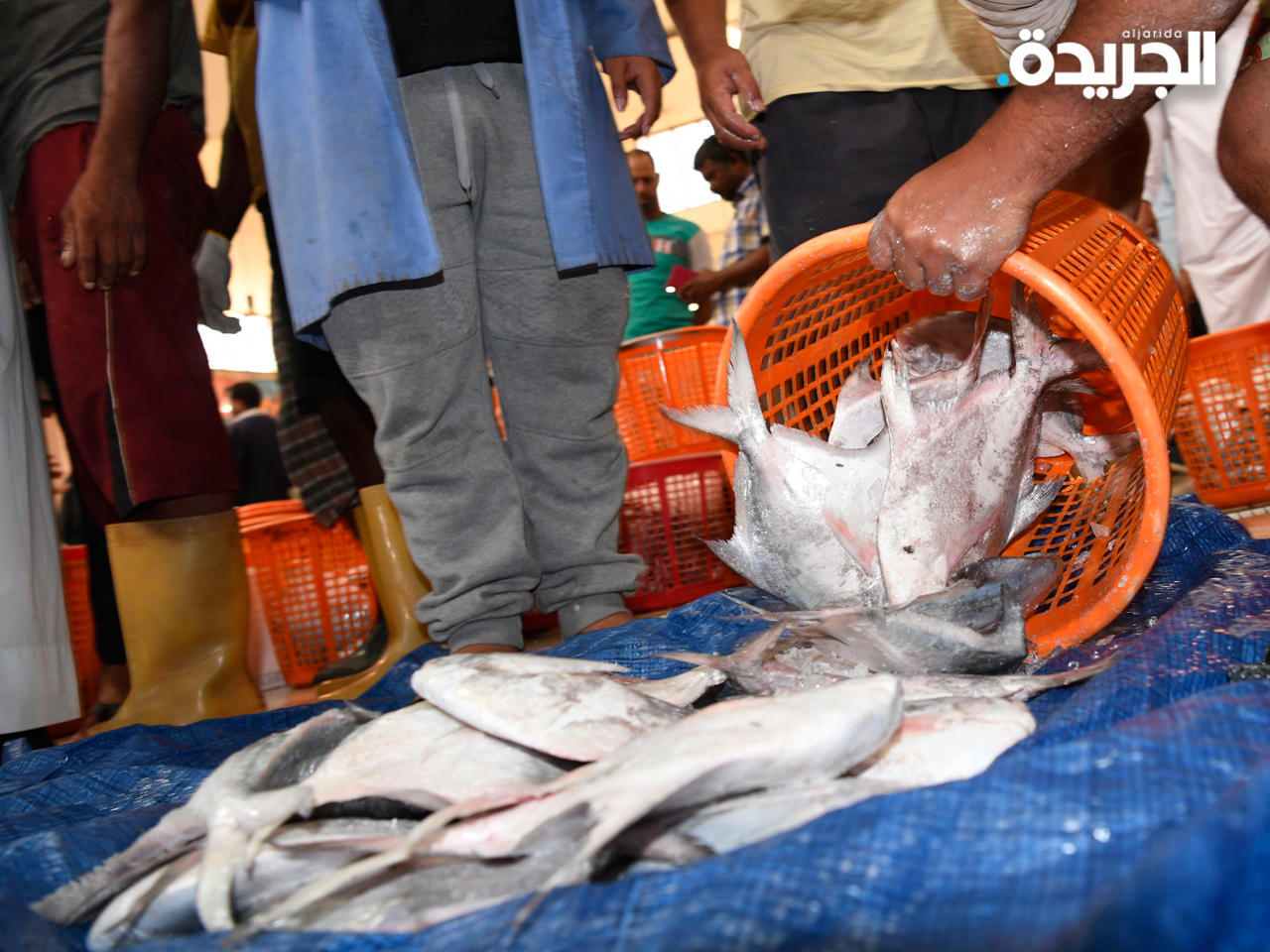 «الزبيدي» يكثًر في أبريل