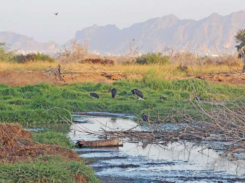 محمية الحسوة بمدينة عدن جنوب اليمن