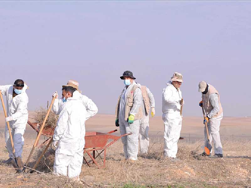 اكتشاف مقابر جماعية للإيزيديين