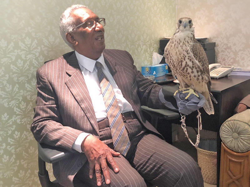 د. أحمد الخطيب *