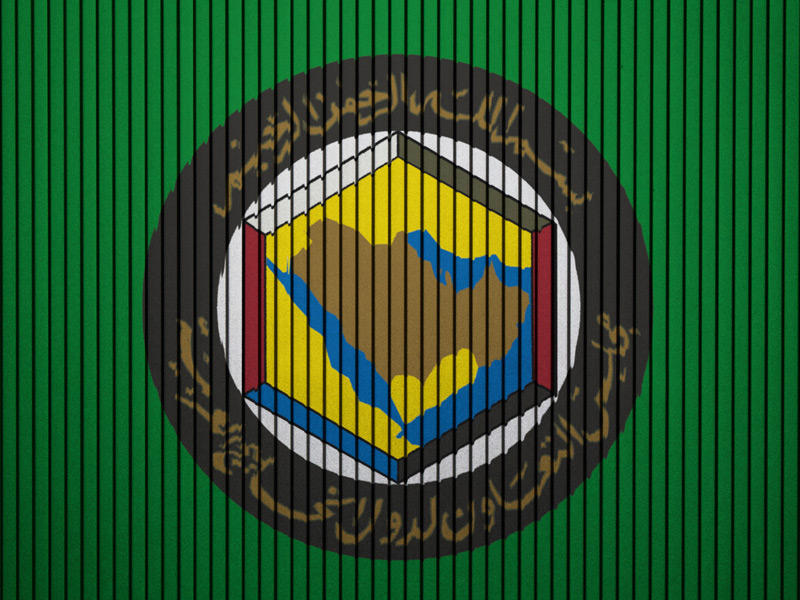 دول مجلس التعاون الخليجي