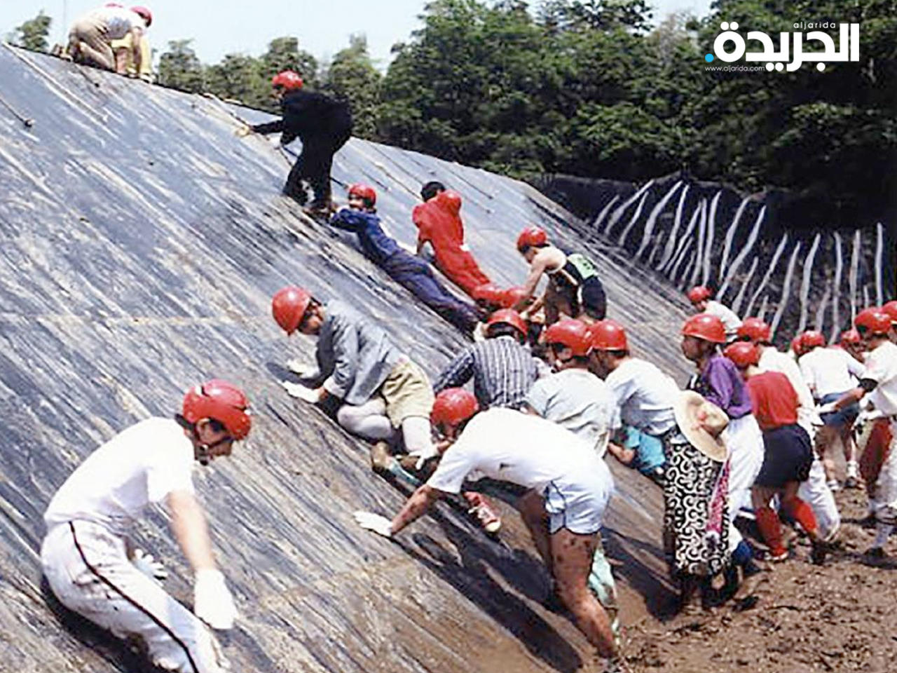 برنامج الحصن الياباني