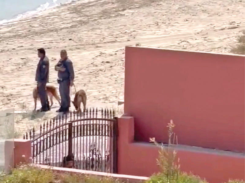 زورق المتسللين... وكلاب الأثر تمشط الشاليهات 