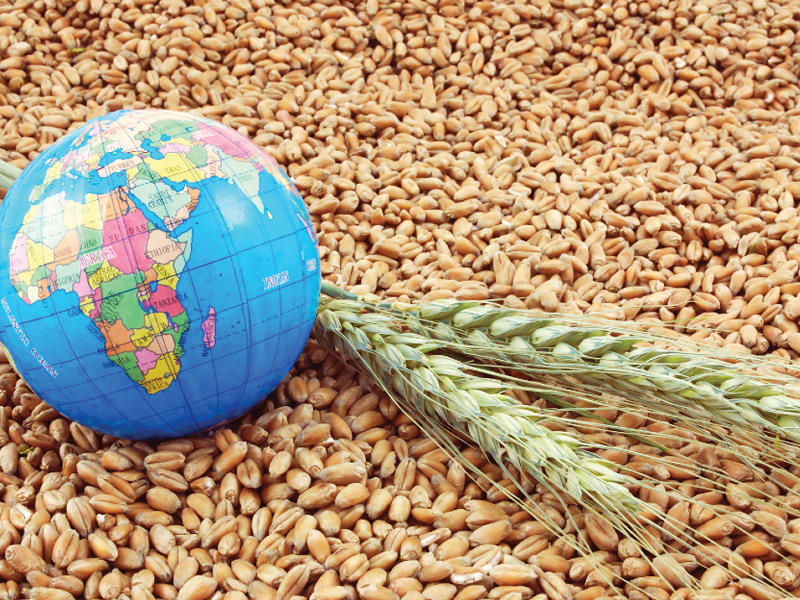  الأمن الغذائي