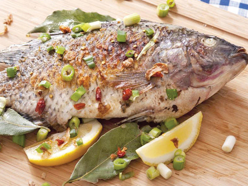 «البلطي» من أسماك المياه العذبة