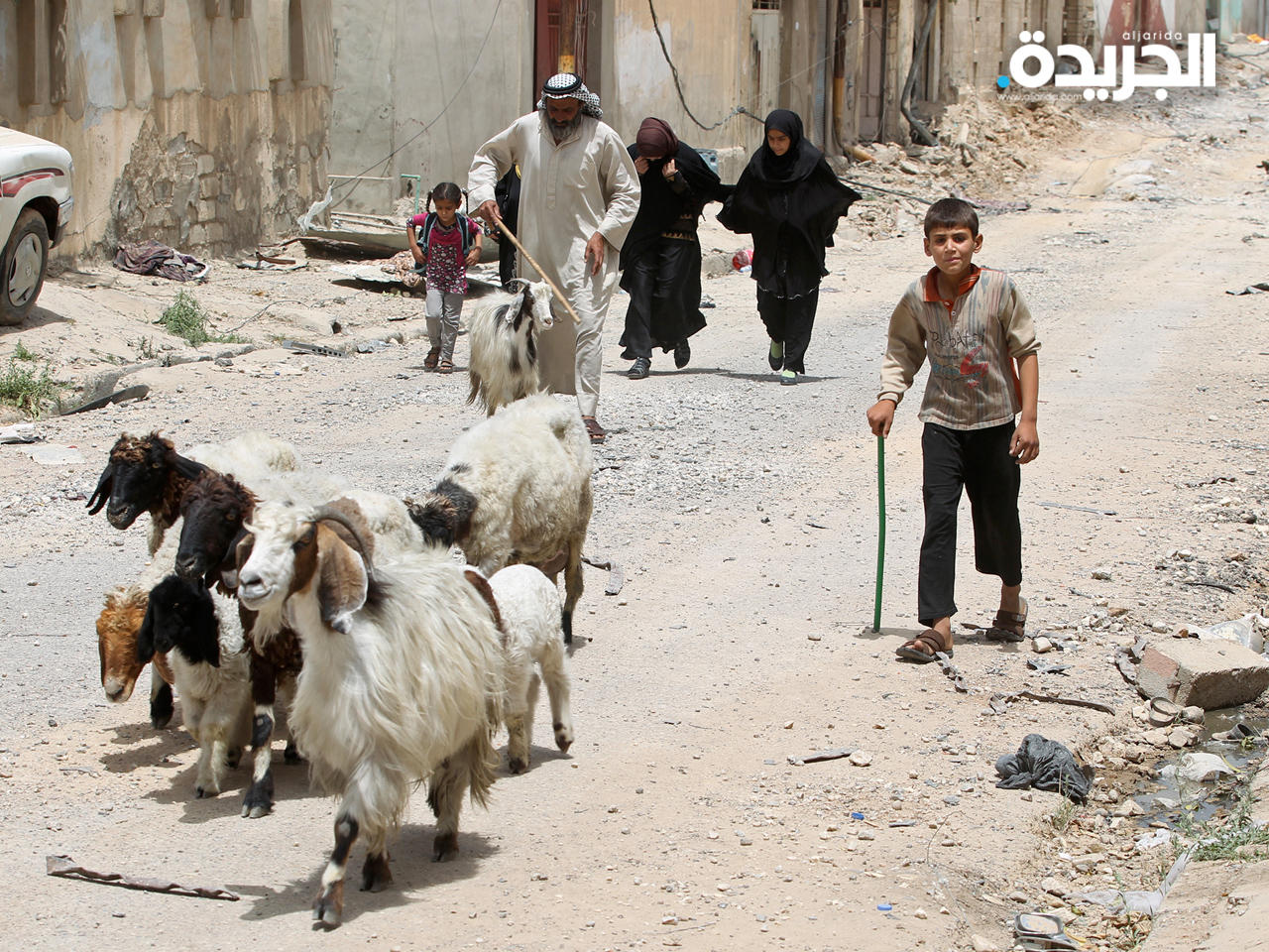 رعاة غنم في العراق - أرشيف