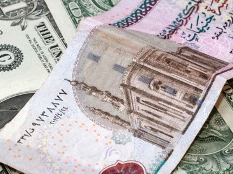 ارتفاع سعر الدولار أمام الجنيه المصري